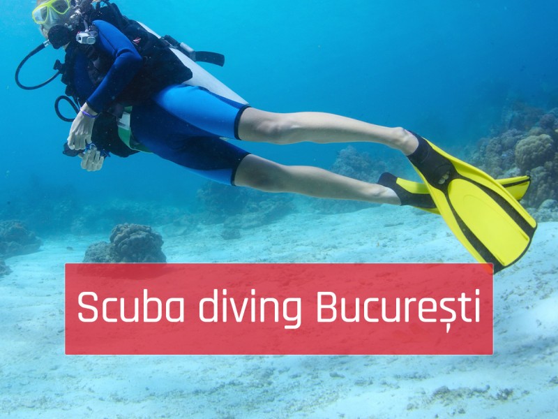 Discover the fascination of the aquatic world Scuba Diving Bucharest