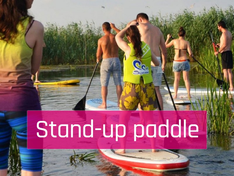 Stand up paddle - vasleste pe placa de surf in delta Neajlovului