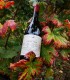 Degustare de vin la o crama-boutique de renume din Prahova