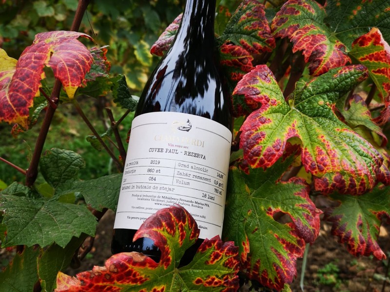 Degustare de vin la o crama-boutique de renume din Prahova