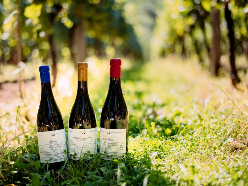Degustare de vin la o crama-boutique de renume din Prahova