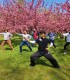 Training with Chinese techniques for body, soul and mind in Bucharest