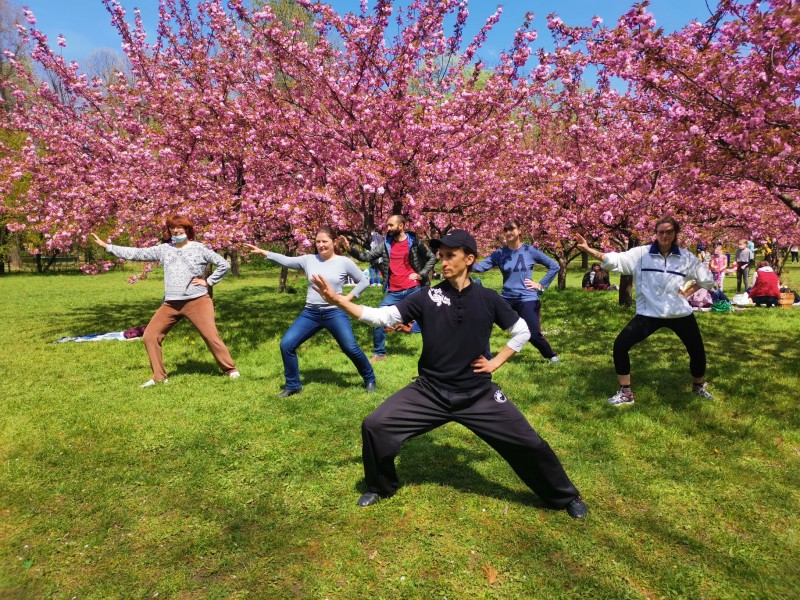 Training with Chinese techniques for body, soul and mind in Bucharest