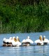 Go on a trip to explore the Danube with your friends