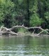 Go on a trip to explore the Danube with your friends