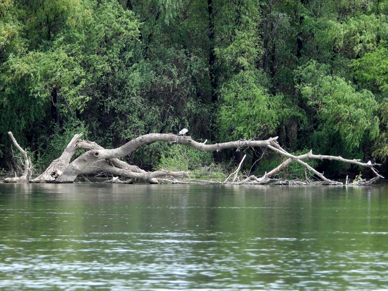 Go on a trip to explore the Danube with your friends