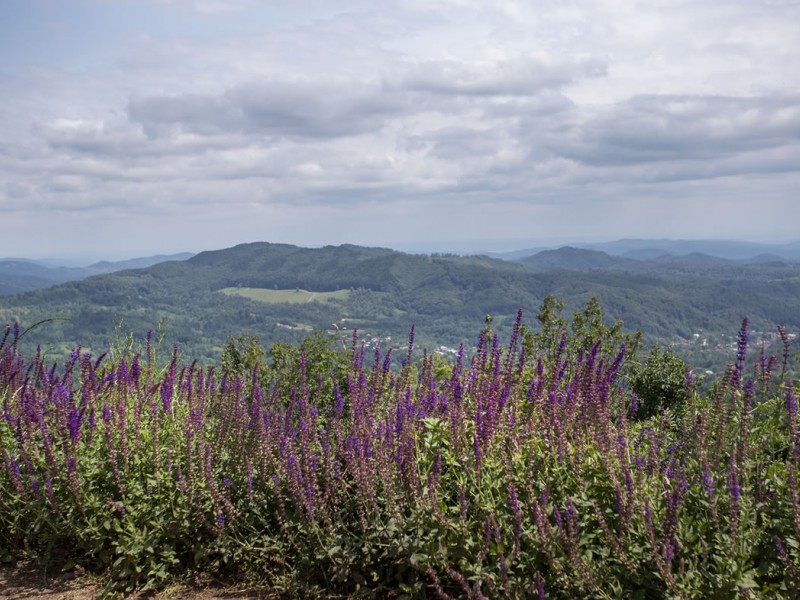 Rustic holiday, pottery workshop and nature walks