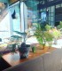 Experienta unica intr-un coffee shop de specialitate din Bucuresti