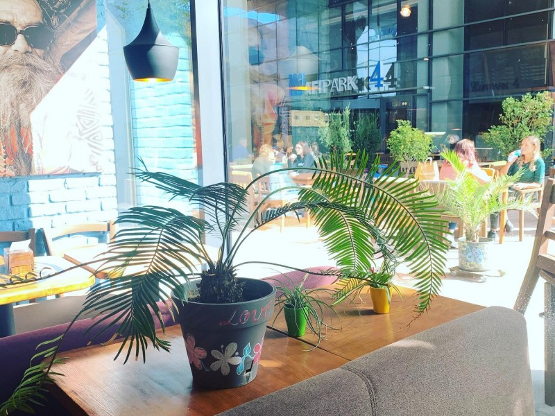 Unique experience in a specialty coffee shop in Bucharest