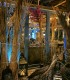 Enjoy top dishes in an exclusive restaurant in Mamaia Nord