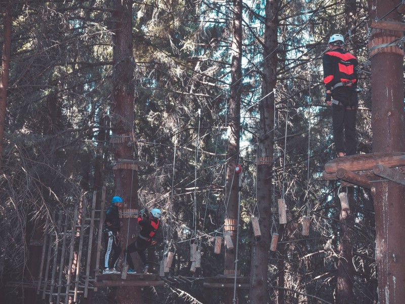 Experience the fun in the Arka Park Paltinis adventure park