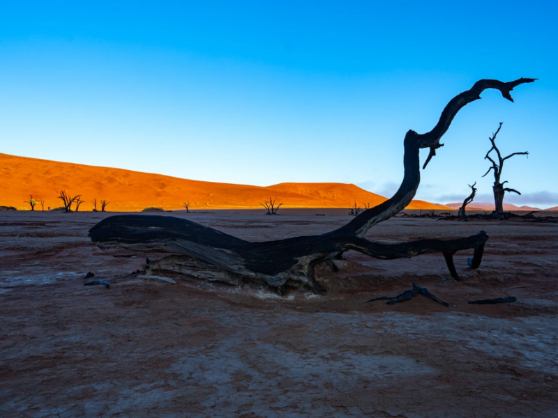 Exploreaza indeaproape Namibia intr-o calatorie exotica VIP in desert