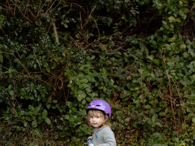 Discover the beauty of Snagov Forest on a family bike tour