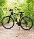 Discover the beauty of Snagov Forest on a family bike tour