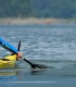 Vasleste pe Lacul Bicaz intr-o tura de caiac sau canoe