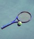 For tennis lovers: racket or cap signed by Victor Hanescu