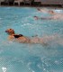 Cursuri de tenis, inot si SPA pentru copii si adulti in Iasi