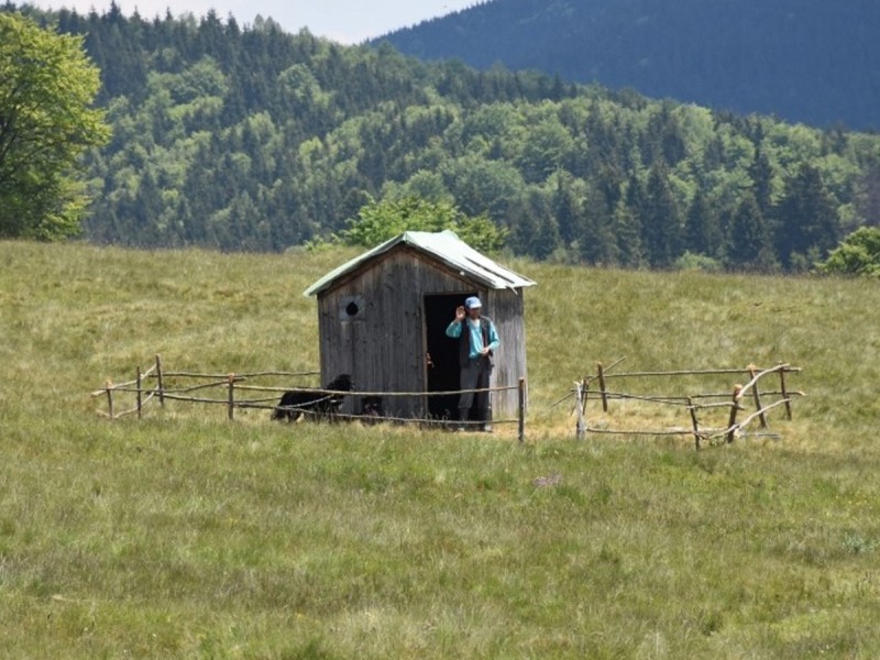 Adventure for groups with Mountain Carts at Lake St. Anna