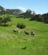 Tur calare de o zi in Carpatii Orientali