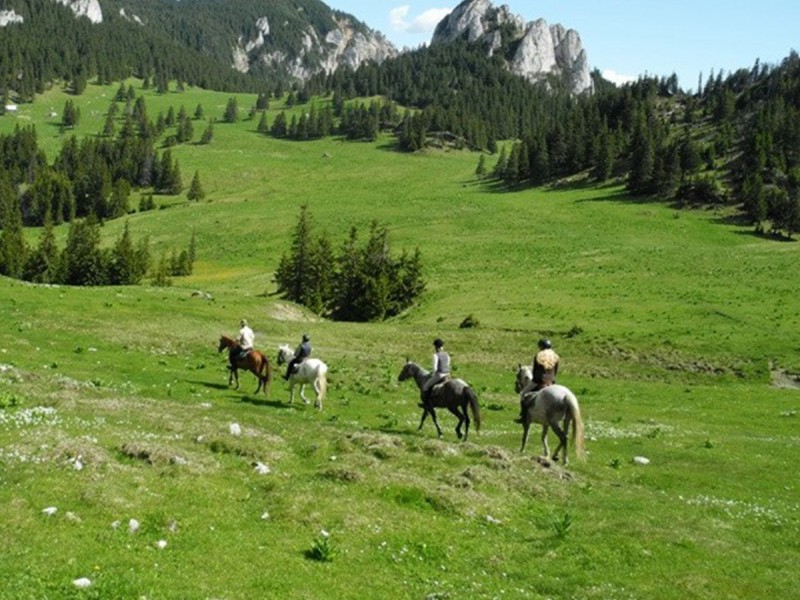 Tur calare de o zi in Carpatii Orientali