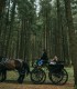 Family horse-drawn carriage rides on the plains of Harghita