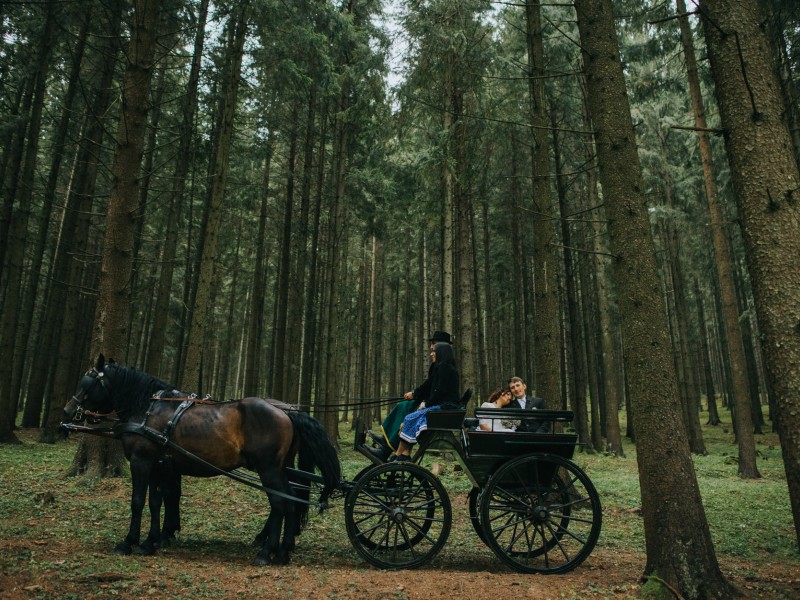 Family horse-drawn carriage rides on the plains of Harghita