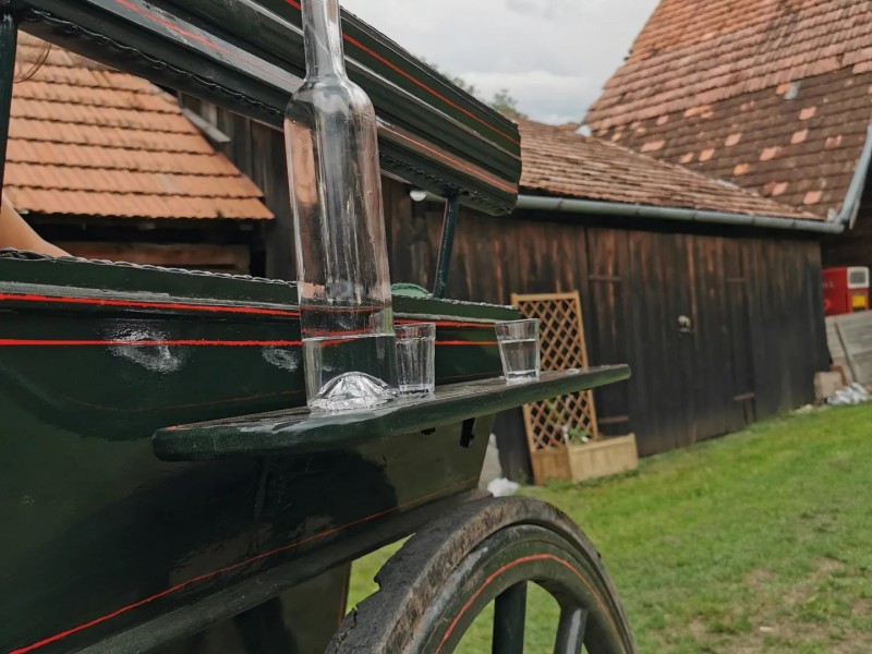 Family horse-drawn carriage rides on the plains of Harghita