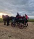 Family horse-drawn carriage rides on the plains of Harghita
