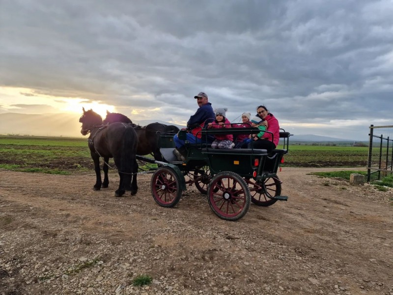 Family horse-drawn carriage rides on the plains of Harghita