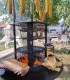 Barbecue party la tine in curte alaturi de cei mai priceputi chefi