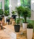 Spa de lux in Bucuresti - Relaxare totala pentru ea