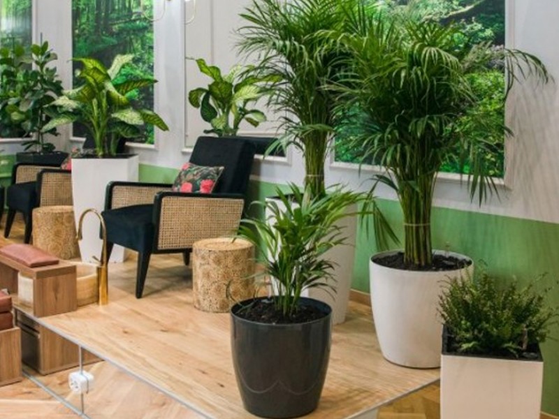 Spa de lux in Bucuresti - Relaxare totala pentru ea