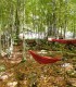 Stand up paddle de 4 zile pe Lacul Siriu si Stargazing