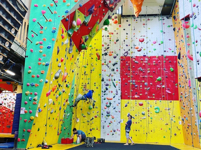 Adventure and climbing courses in Bucharest