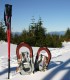 Snowshoeing in Poiana Brasov