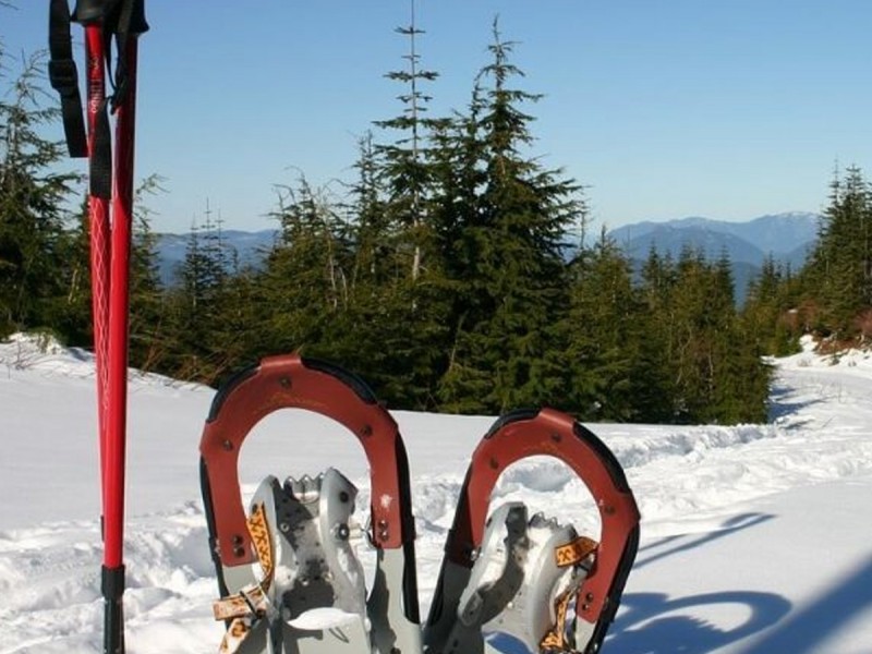 Snowshoeing in Poiana Brasov