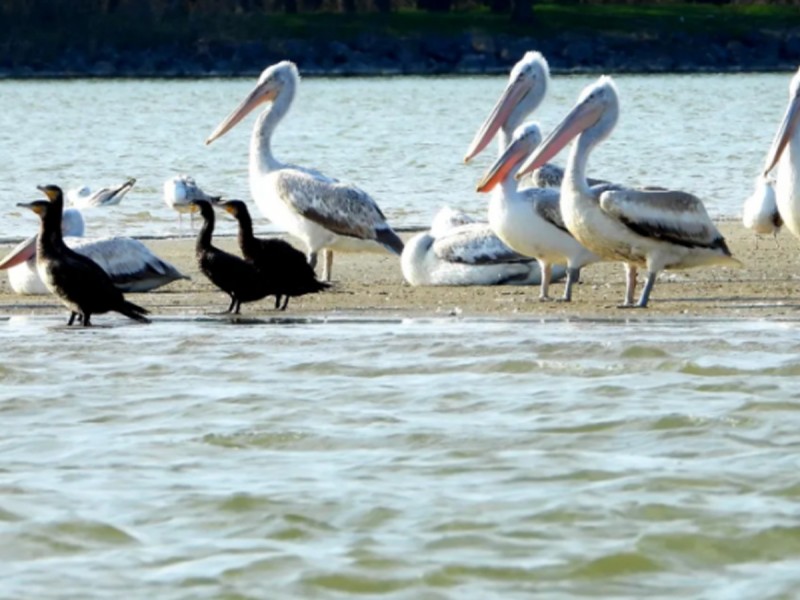 Go on a trip to explore the Danube with your friends