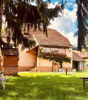 Historical tourism - Family holiday in a guesthouse in Biertan