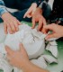 Ofera un cadou inedit - Kit mulaj maini pentru cuplu, familie sau bebe