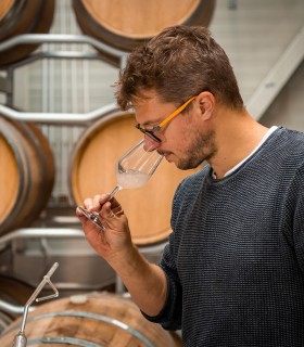 Culinary experience and wine tasting at Lechinta winery