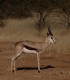 15 zile de aventura intr-o experienta VIP in Namibia, Botswana si Zimbabwe
