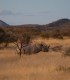 15 zile de aventura intr-o experienta VIP in Namibia, Botswana si Zimbabwe