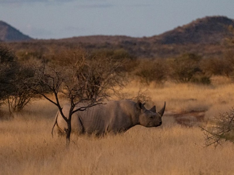 15 zile de aventura intr-o experienta VIP in Namibia, Botswana si Zimbabwe