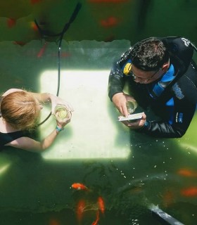 Underwater brewery in Covasna - Enjoy a craft beer underwater