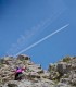Climbing initiation course in Trascau Mountains