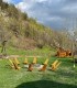 3-night traditional holiday in the forest with activities included