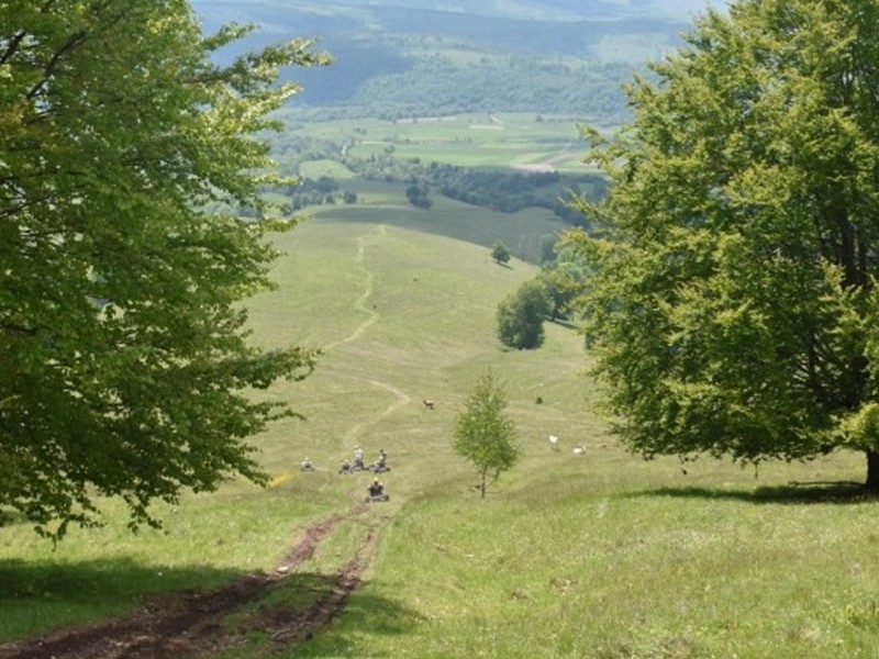 Adventure for groups with Mountain Carts at Lake St. Anna