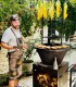 Barbecue party la tine in curte alaturi de cei mai priceputi chefi