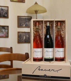 Vizita la o crama din Dragasani, degustre vin si platou de branzeturi