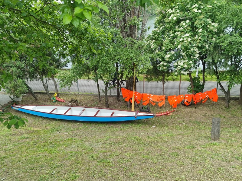 Sail to success with your team on a Dragon Boat in Bucharest